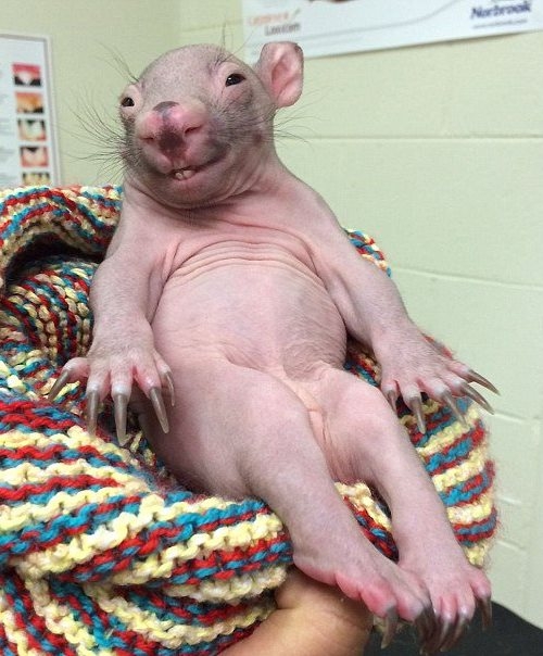 Amikor nincs rajtad smink, de a pasid azt mondja, hogy így is jól nézel ki!