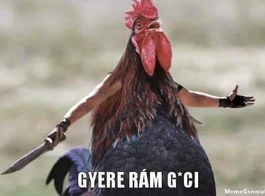 Kakaspörköltet akarsz?