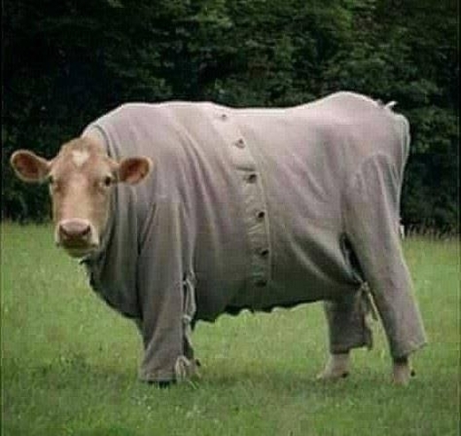 Most mit nézel? Hűvös van...