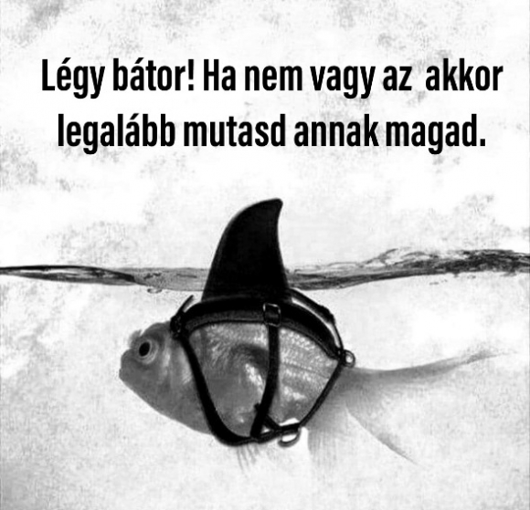 E heti jó tanácsunk