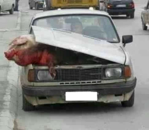 Fuvarban a szállító