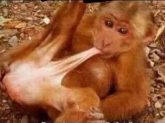 Amikor a szerelőd közli veled a munkadíjat