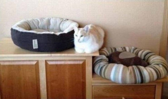 Amikor szembemész a rendszerrel