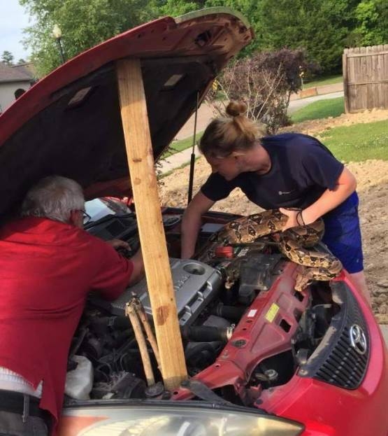 Nekik így indult a nap