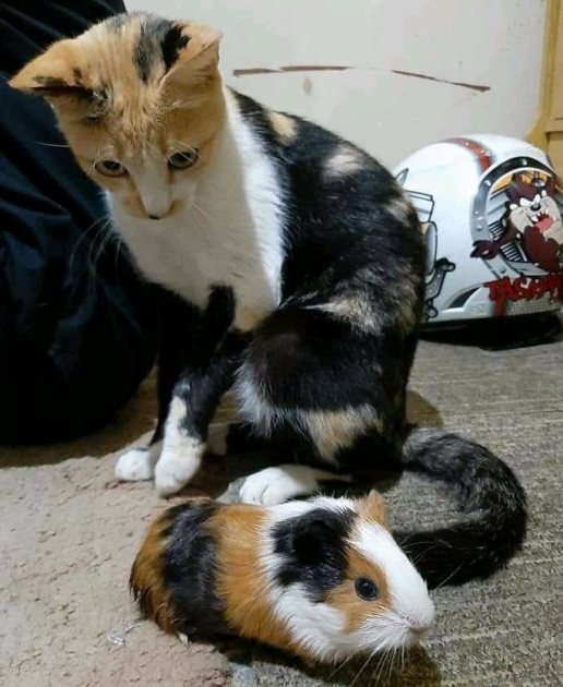 Istenem, de részeg lehettem!