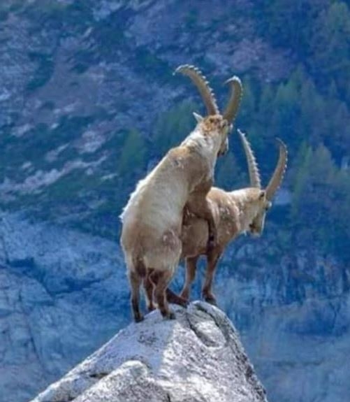 Nekik tényleg sikerült eljutni a csúcsra