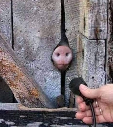 Egy városi ember falun