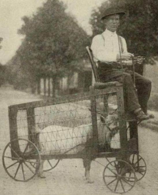 Egy kecskemaghajtású jármű