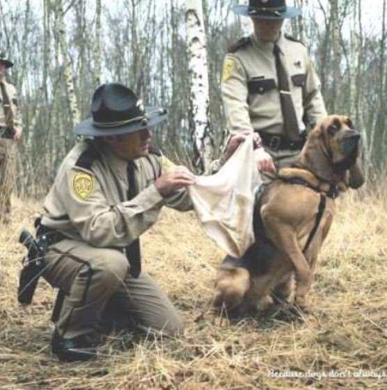 Ez a rosszfiú ma már nem lesz meg