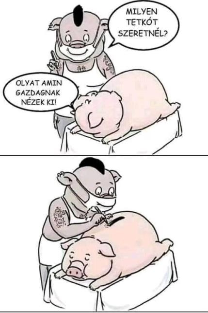 Teljesült a kívánsága