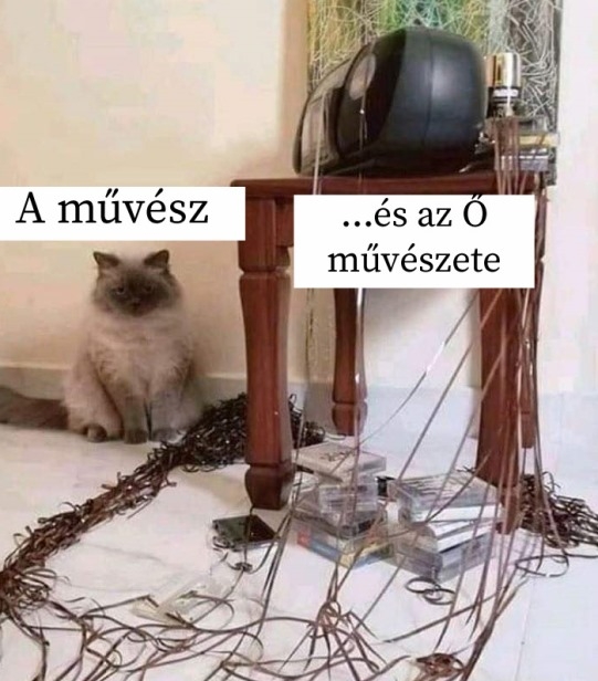 Ma lehet, hogy verést vacsorázik a cicus