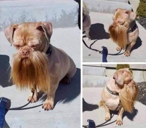 Előző életében motoros lehetett