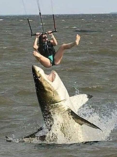 Már a tengeren is nagy keletje van, egy jó popsinak