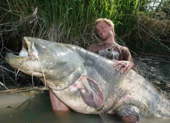 A hétvégén érdemes volt kimenni a tóra