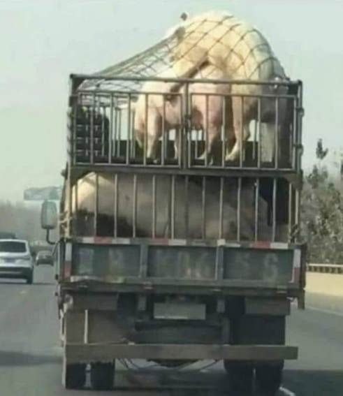 Mindig úgy élj, mintha a mai nap lenne az utolsó