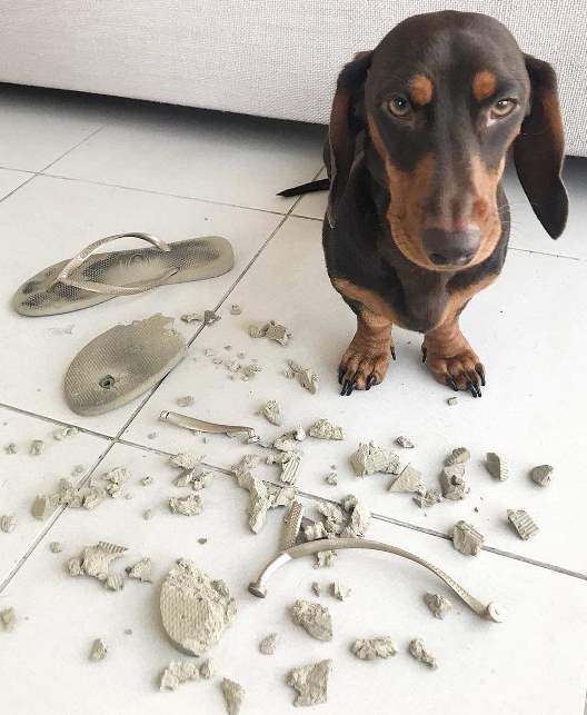 Jobban jársz, ha inkább játszol velem