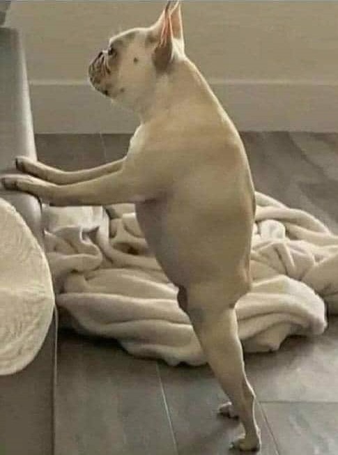 30-as pasik skinny farmerben