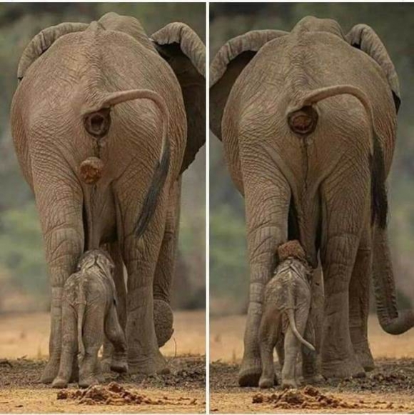 Csórikámnak sza@rul indult a napja...