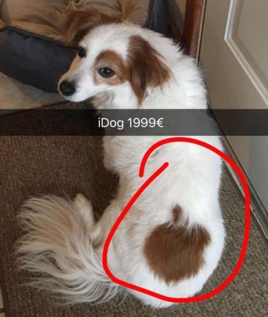 Minden drága, ami Apple