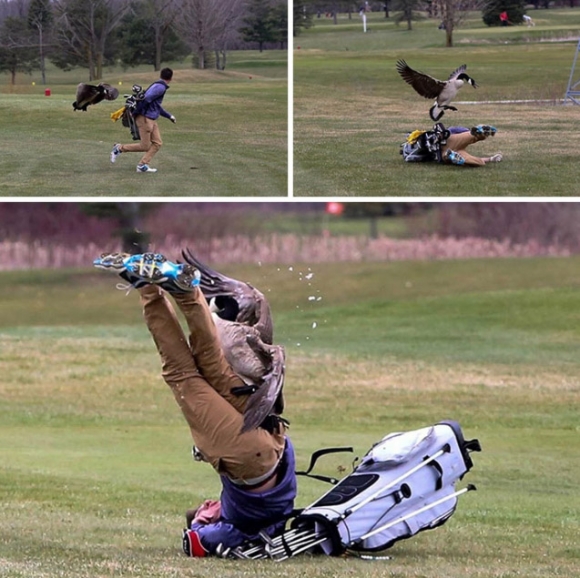 Így jársz, ha a sas fészkébe ütöd a labdát