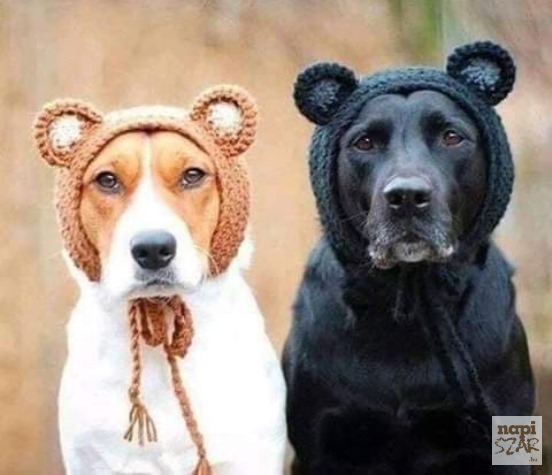 A nagyi meglátogatta a családot