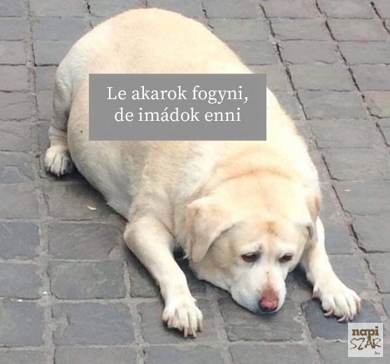 Akkor ez így nehezen fog menni