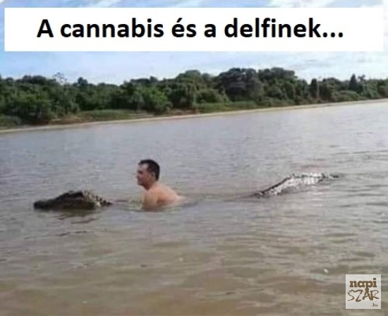 Gézának két szenvedélye van