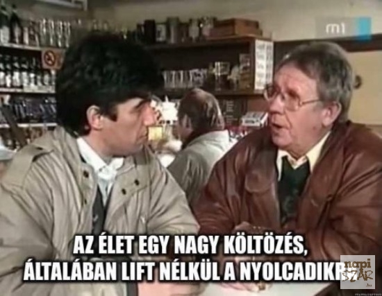 Napi tényfeltáró