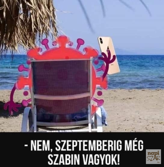 Szia! Dolgozol hétfőn?