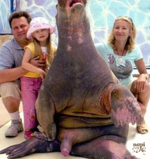 Hétvégén állatkertben jártak