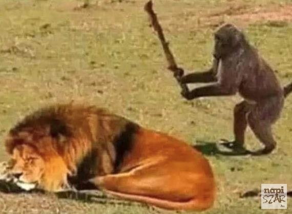 Amikor részegen elkezdesz hülyeségeket csinálni