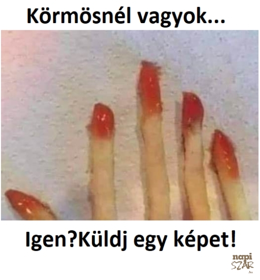 Cica, nélkülem mentél Mekizni?!