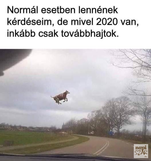 Na ja...ez az év már csak ilyen