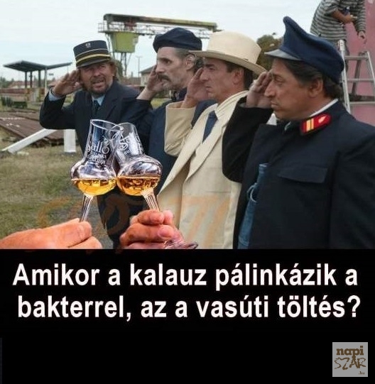 D5-F2 Utasítás vizsga tesztkérdés