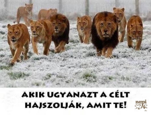 Olyanokkal vedd körbe magad...