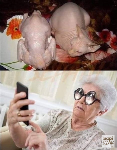 Ma erre keresett rá a nagyi a Gugliban