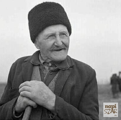 Fater, ki az igaz barát?