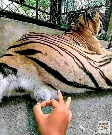 Az egyik leggyorsabb módja annak, hogy találkozz Istennel