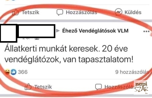Álláskereső