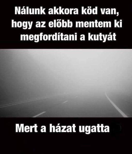 Felétek mi a helyzet?