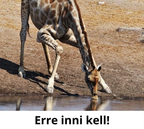 Boldog névnapot az Ödönöknek!