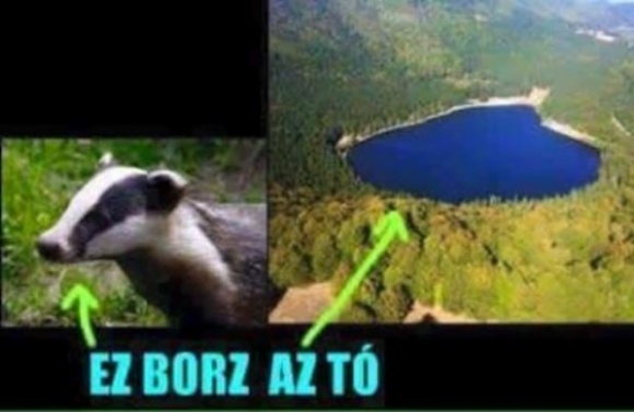 Egy borzasztó képvicc