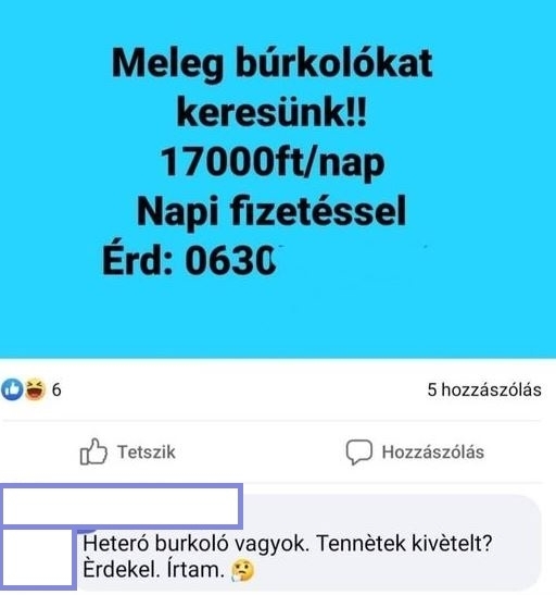 Állásajánlat