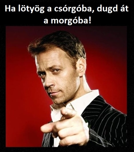 Rocco Siffredi üzenetét továbbítjuk 