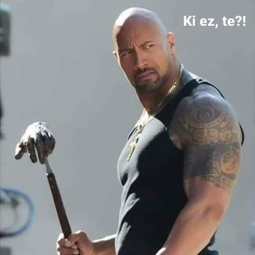 Amikor főzés közbe valaki beszól, hogy ő azt nem úgy szokta