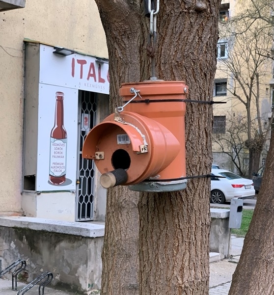 Kreatív rovatunk ma Angyalföldről jelentkezik