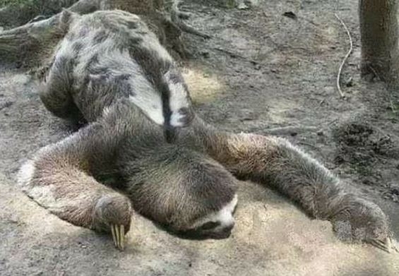  A mai hozzáállásom bármihez, ami munkával kapcsolatos