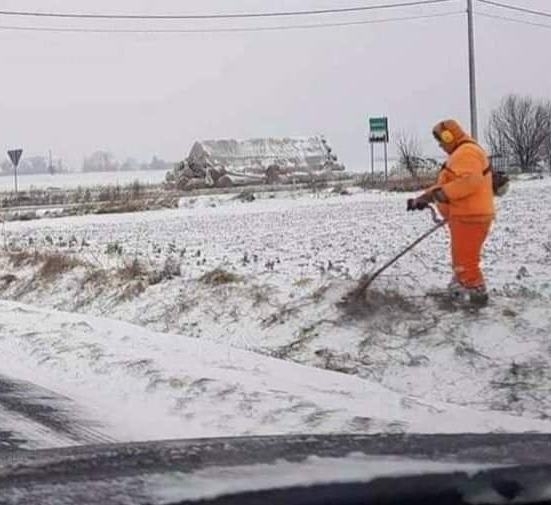 Munkában a hónap dolgozója