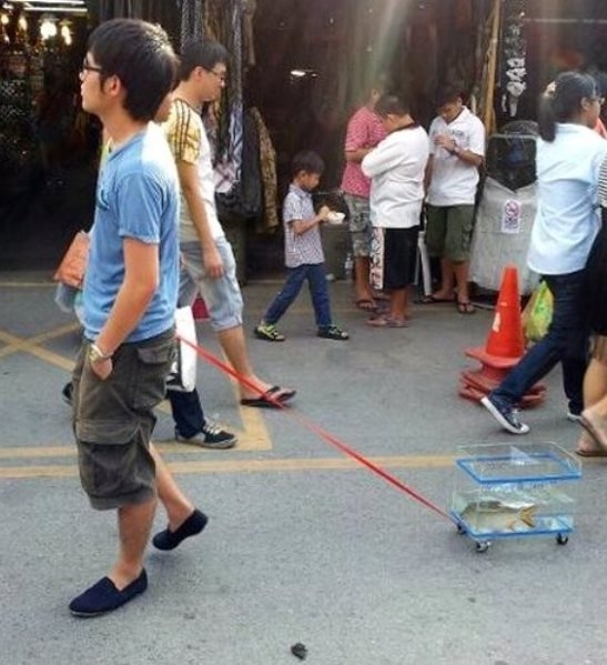 Egy kis frissítő reggeli séta