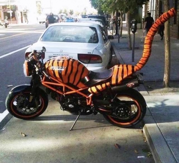 Lassan indul a szezon